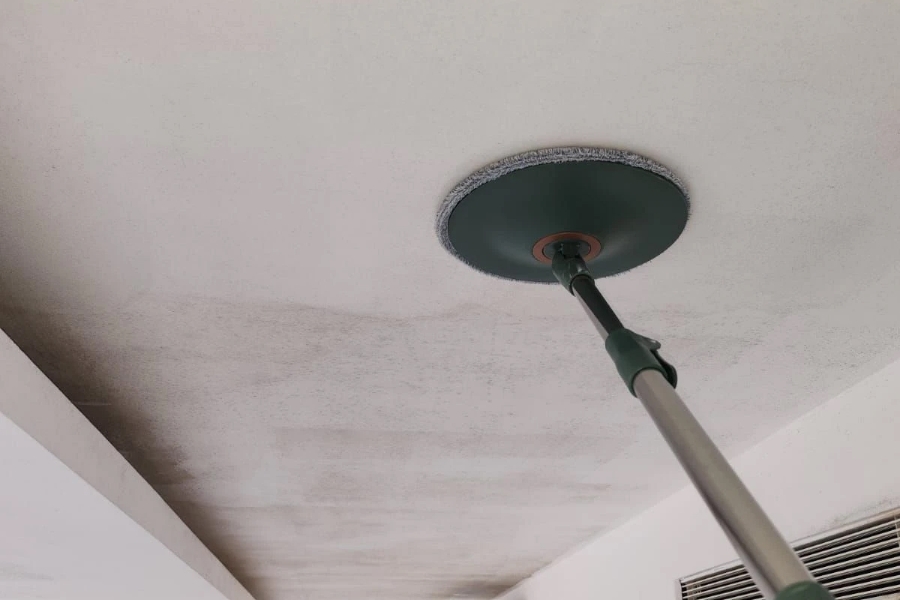 Mould Removal Services