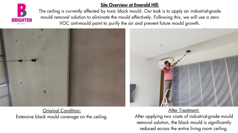 brighten paints - testi_02